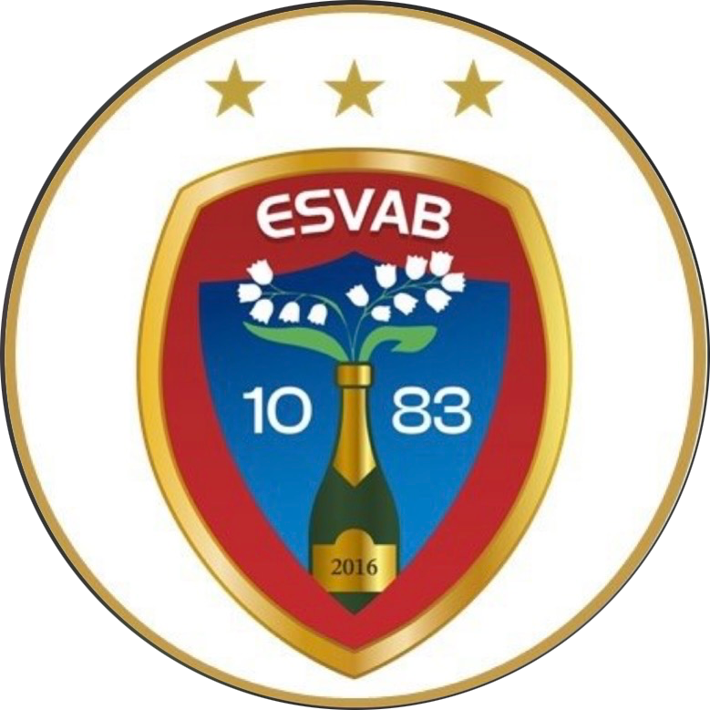 ESVAB Logo